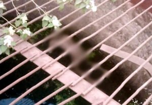 Chhattisgarh Crimes