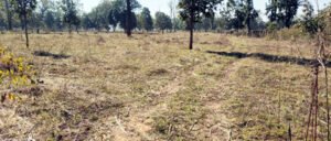 Chhattisgarh Crimes