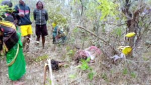 Chhattisgarh Crimes