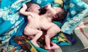 Chhattisgarh Crimes