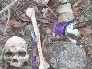 Chhattisgarh Crimes
