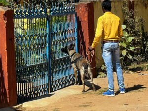 Chhattisgarh Crimes