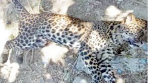 Chhattisgarh Crimes