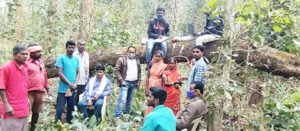 Chhattisgarh Crimes