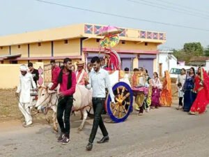 जब बैलगाड़ी में सवार होकर पहुंचा दूल्हा, देखने जुट गई लोगों की भीड़ Chhattisgarh Crimes