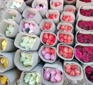 डच गुलाबों से महक रहा वैलेंटाइन, युवा किसान ने नौकरी छोड़कर की खेती की शुरुआत Chhattisgarh Crimes