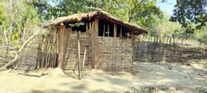 राजीव गांधी गोद ग्राम कुल्हाड़ीघाट पर मंडरा रहा है मानव तस्करों की काली छाया , बड़ी संख्या मे कमार जनजाति के ग्रामीणों ने कर गए पलायन Chhattisgarh Crimes