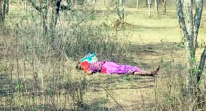 Chhattisgarh Crimes