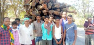 कटाई में लगे मजदूरों को वन विभाग ने नहीं दिया मजदूरी, परेशान मजदूरों ने रोकी लट्ठा गाड़ी तब भी मजदूरी नहीं मिला आश्वासन Chhattisgarh Crimes