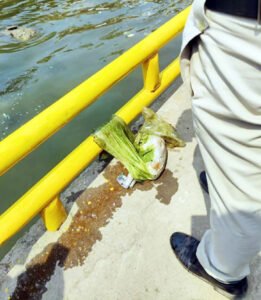 महादेव घाट में मिली नवजात की लाश Chhattisgarh Crimes