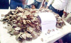 Chhattisgarh Crimes