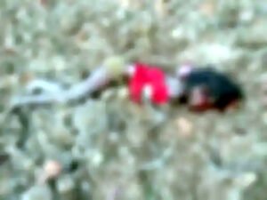 Chhattisgarh Crimes