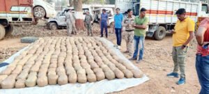 कोंडागांव पुलिस को मिली बड़ी सफलता; 1 करोड़ 30 लाख का गांजा किया जब्त Chhattisgarh Crimes