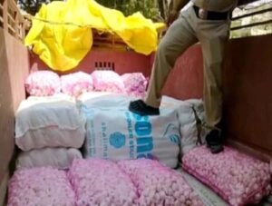 लहसुन बोरी के नीचे छिपाया था 20 लाख का गांजा, आरोपी फरार Chhattisgarh Crimes