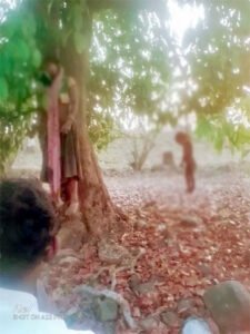 महुआ बीनने गए मां-बेटे की फंदे पर लटकी मिली लाश, इलाके में हड़कंप Chhattisgarh Crimes