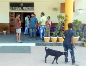 दो लोगों में बकरे को लेकर छिड़ी जंग, अम्मा के आते ही खत्म हुआ विवाद Chhattisgarh Crimes