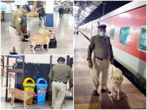 Chhattisgarh Crimes