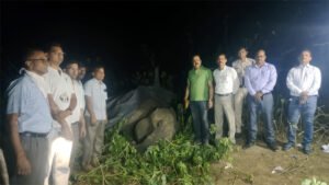 Chhattisgarh Crimes