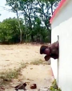 Chhattisgarh Crimes