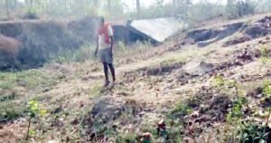Chhattisgarh Crimes
