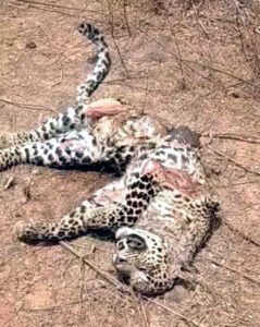 Chhattisgarh Crimes