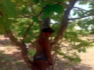 Chhattisgarh Crimes