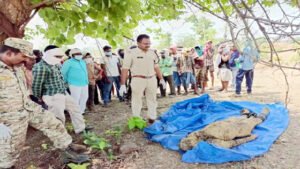 Chhattisgarh Crimes
