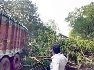 आंधी से गिरा पेड़, युवक की दबने से मौत Chhattisgarh Crimes