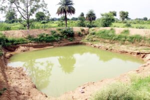 Chhattisgarh Crimes