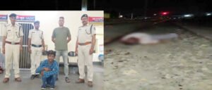 अर्जेंट बात करने के बहाने मोबाइल लेकर भाग रहा था चोर, पकड़ने दौड़े यात्री की ट्रेन की चपेट में आने से मौत Chhattisgarh Crimes