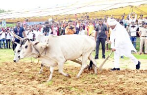 Chhattisgarh Crimes