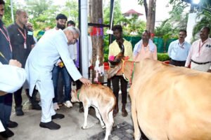 144 करोड़ की गोबर खरीदी पर महिला समूह ने मुख्यमंत्री भूपेश का जताया आभार, मुलाकात कर गाय-बछड़ा किया भेंट… Chhattisgarh Crimes