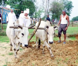 Chhattisgarh Crimes