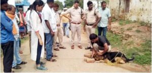 बुजुर्ग की हत्या का खुलासा, बीटा ही निकला आरोपी Chhattisgarh Crimes