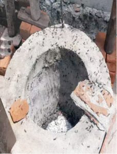 चीटियों की शिकायत पहुंची थाने Chhattisgarh Crimes