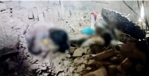 दीवार गिरने से एक ही परिवार के पांच लोगों की दर्दनाक मौत Chhattisgarh Crimes