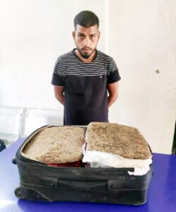 ट्रॉली बैग से 16 किलो गांजा जब्त, तस्कर गिरफ्तार Chhattisgarh Crimes