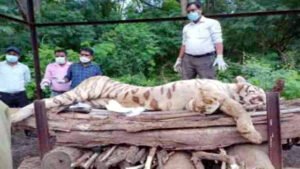 Chhattisgarh Crimes