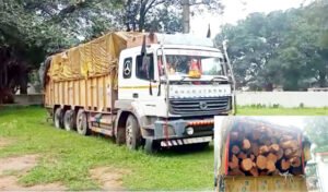 वन विभाग ने कत्था लकड़ियों से भरे ट्रक को पकड़ा, बैरियर तोड़कर भागते समय कर्मचारियों को कुचलने की कोशिश Chhattisgarh Crimes