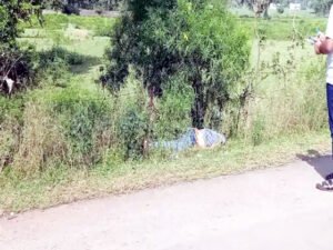 Chhattisgarh Crimes