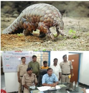 Chhattisgarh Crimes