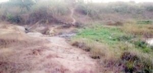 Chhattisgarh Crimes