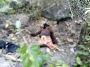 Chhattisgarh Crimes