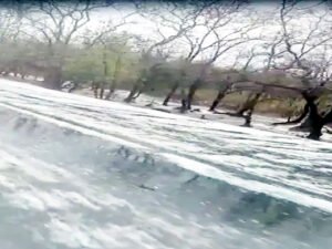 Chhattisgarh Crimes