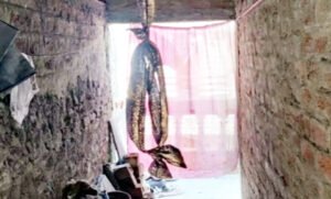 झूला झूलने के दौरान हुआ हादसा, खेल-खेल में गई मासूम की जान Chhattisgarh Crimes