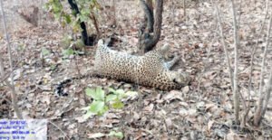 Chhattisgarh Crimes