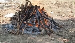 छुरा वन विभाग की बड़ी कार्रवाई; चीतल का शिकार कर काटते हुए हथियार सहित चार आरोपी पकड़ाये Chhattisgarh Crimes