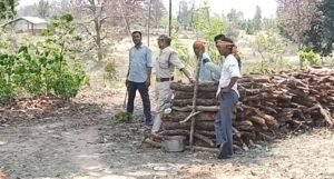 छुरा वन विभाग की बड़ी कार्रवाई; चीतल का शिकार कर काटते हुए हथियार सहित चार आरोपी पकड़ाये Chhattisgarh Crimes