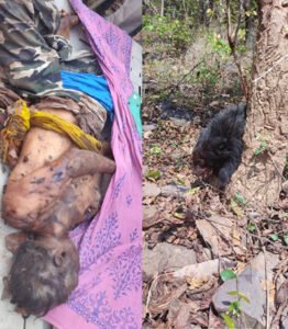 Chhattisgarh Crimes