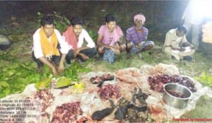 छुरा वन विभाग की बड़ी कार्रवाई; चीतल का शिकार कर काटते हुए हथियार सहित चार आरोपी पकड़ाये Chhattisgarh Crimes